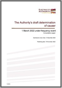 Draft determination of causer - 1 March 2022 UFE - consultation paper
