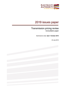 TPM issues paper - 2019