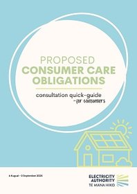 Consultation quick-guide for consumers