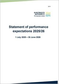 Statement of performance expectations 2025/26