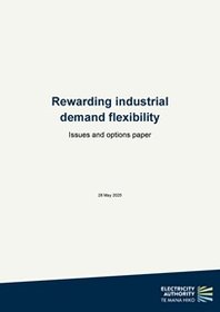 Rewarding industrial demand flexibility - Issues and options paper