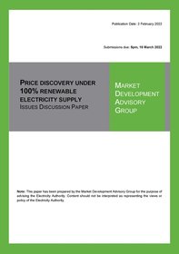 Price discovery under 100% renewable electricity supply - issues discussion paper