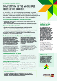 Competition in the wholesale electricity market - phase 1 factsheet