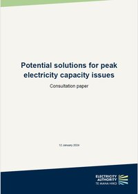 Consultation paper: Potential solutions for peak electricity capacity issues