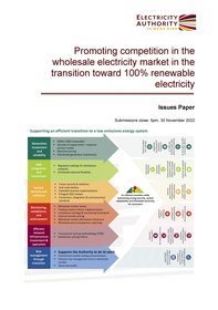 Promoting competition in the wholesale electricity market in the transition toward 100% renewable electricity - issues paper