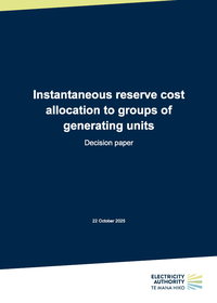 Instantaneous reserve cost allocation to groups of generating units - Decision paper