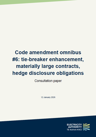 Code amendment omnibus #6