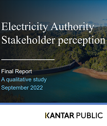 2022 Stakeholder perception review