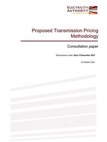 Consultation paper - proposed TPM