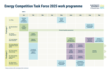 Updated EA Task Force Programme Update June 2025